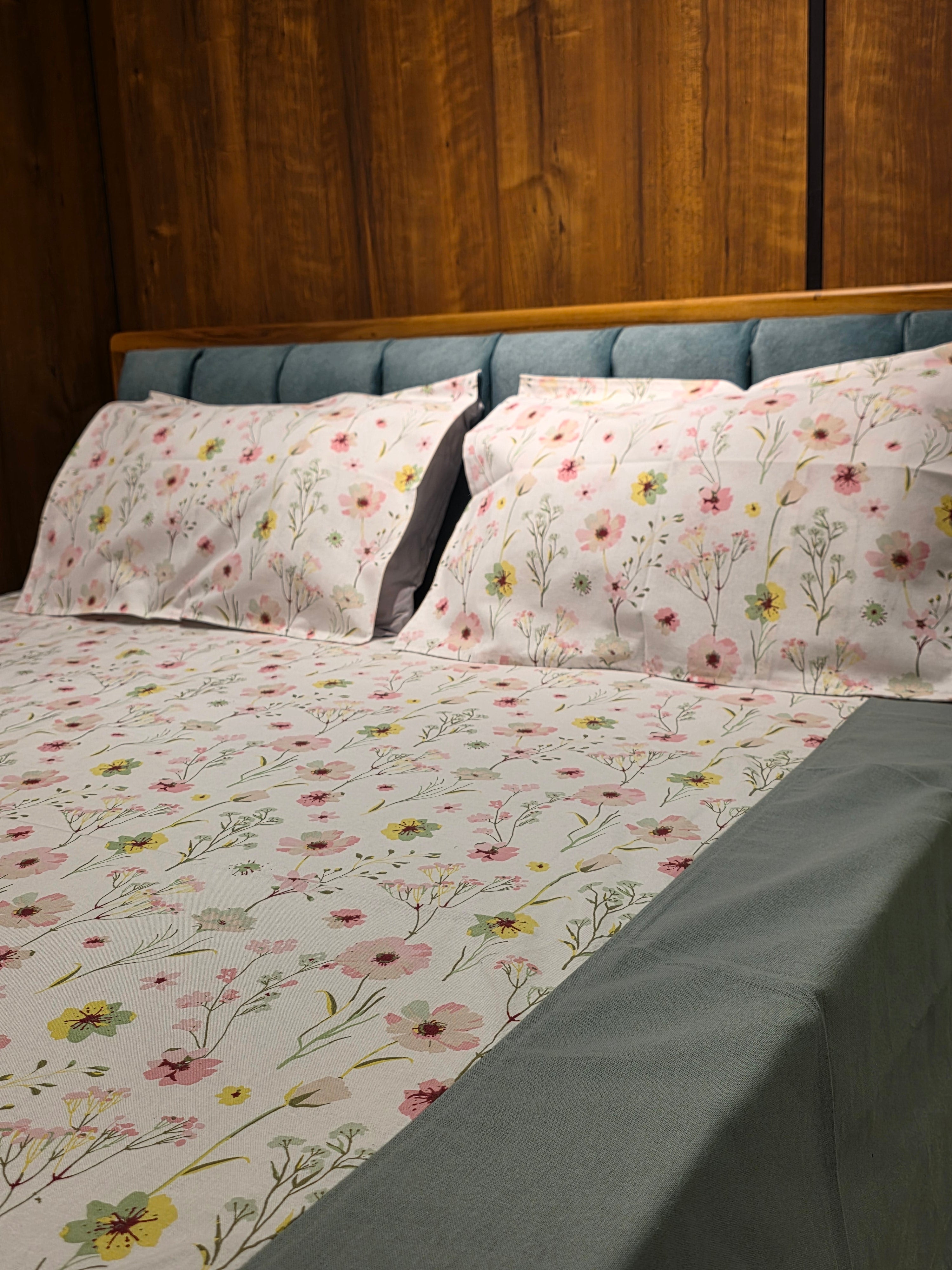 King Border Bedsheet Set