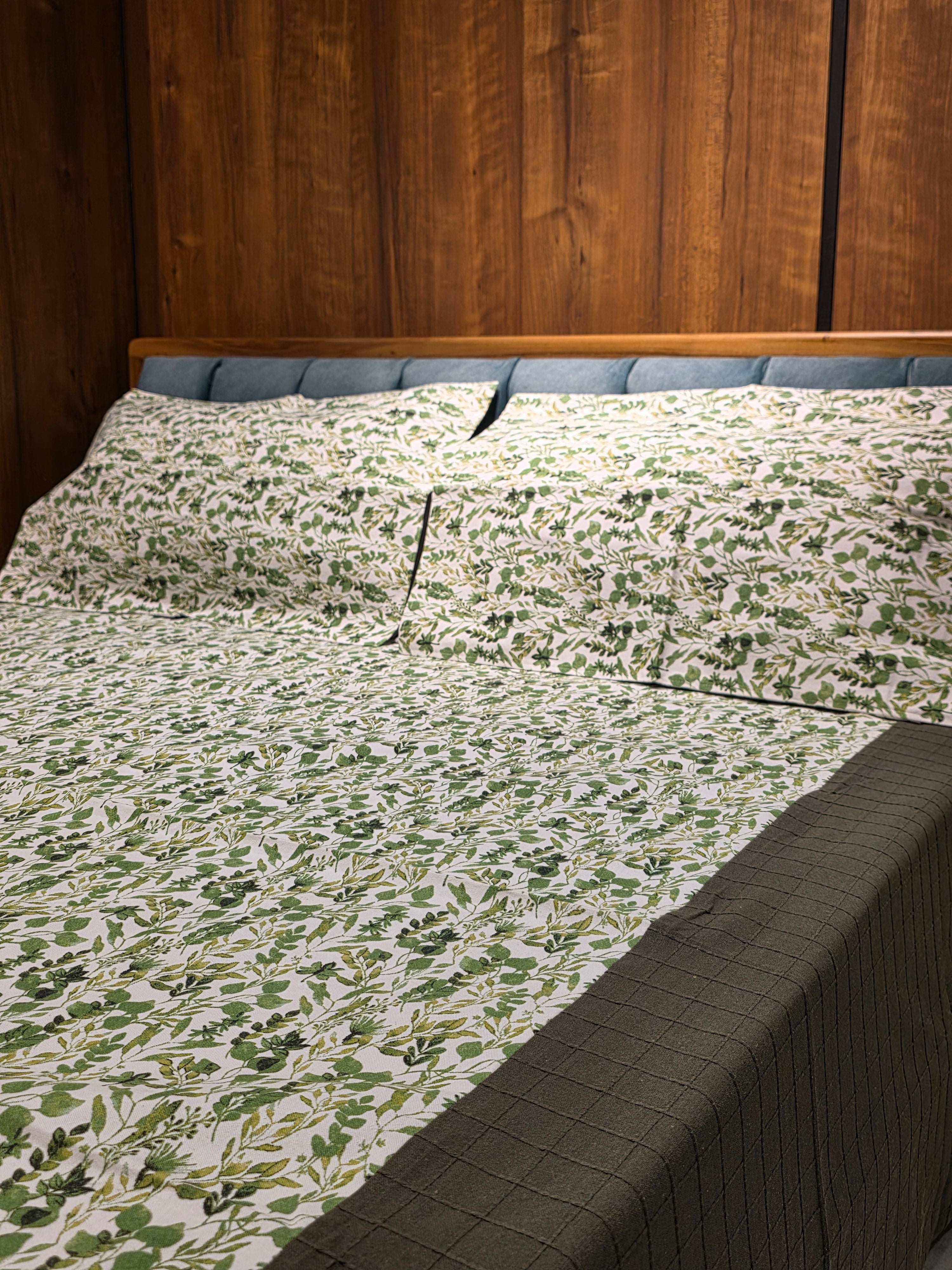 King Border Bedsheet Set