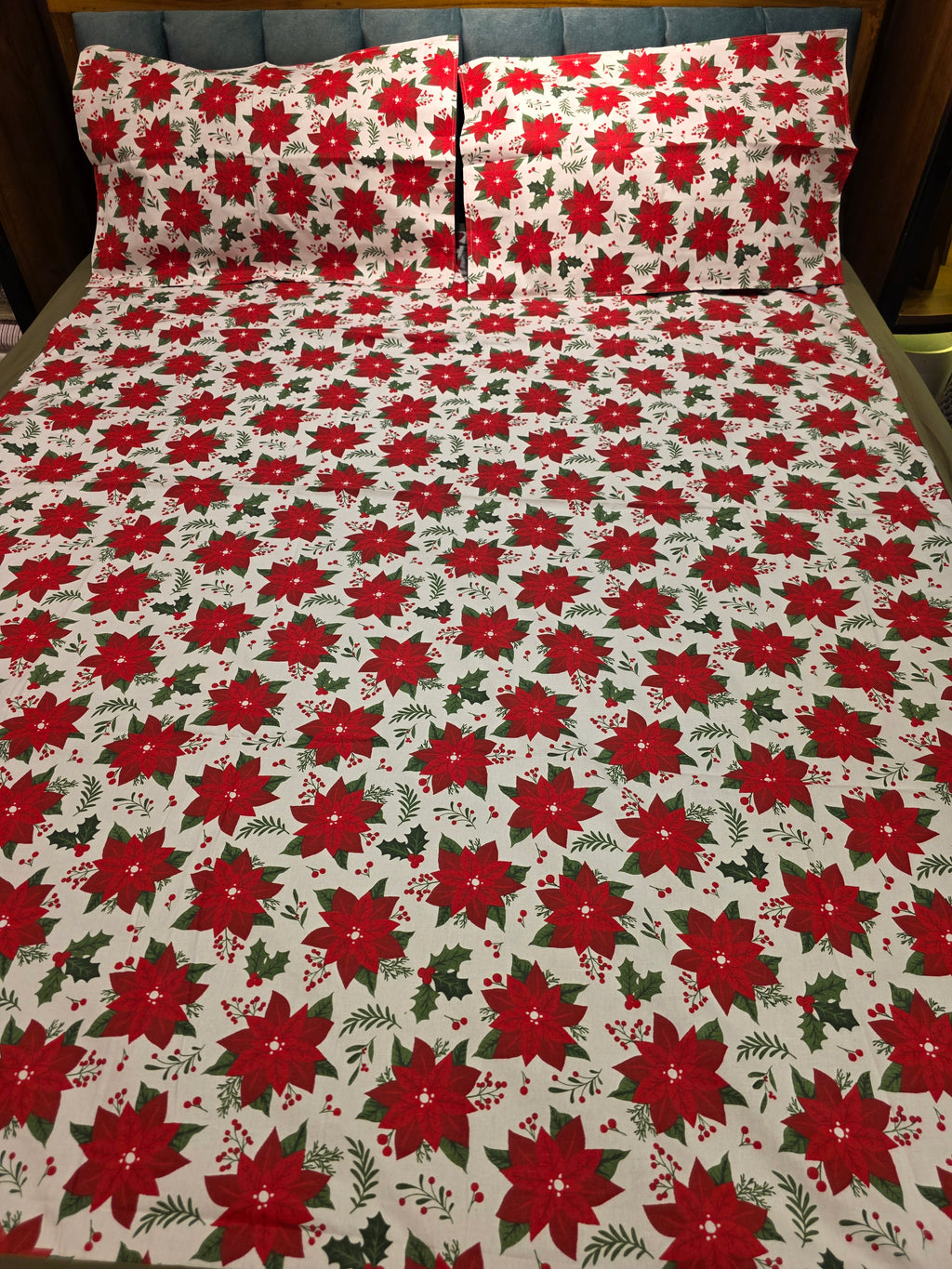 Queen Border Bedsheet Set