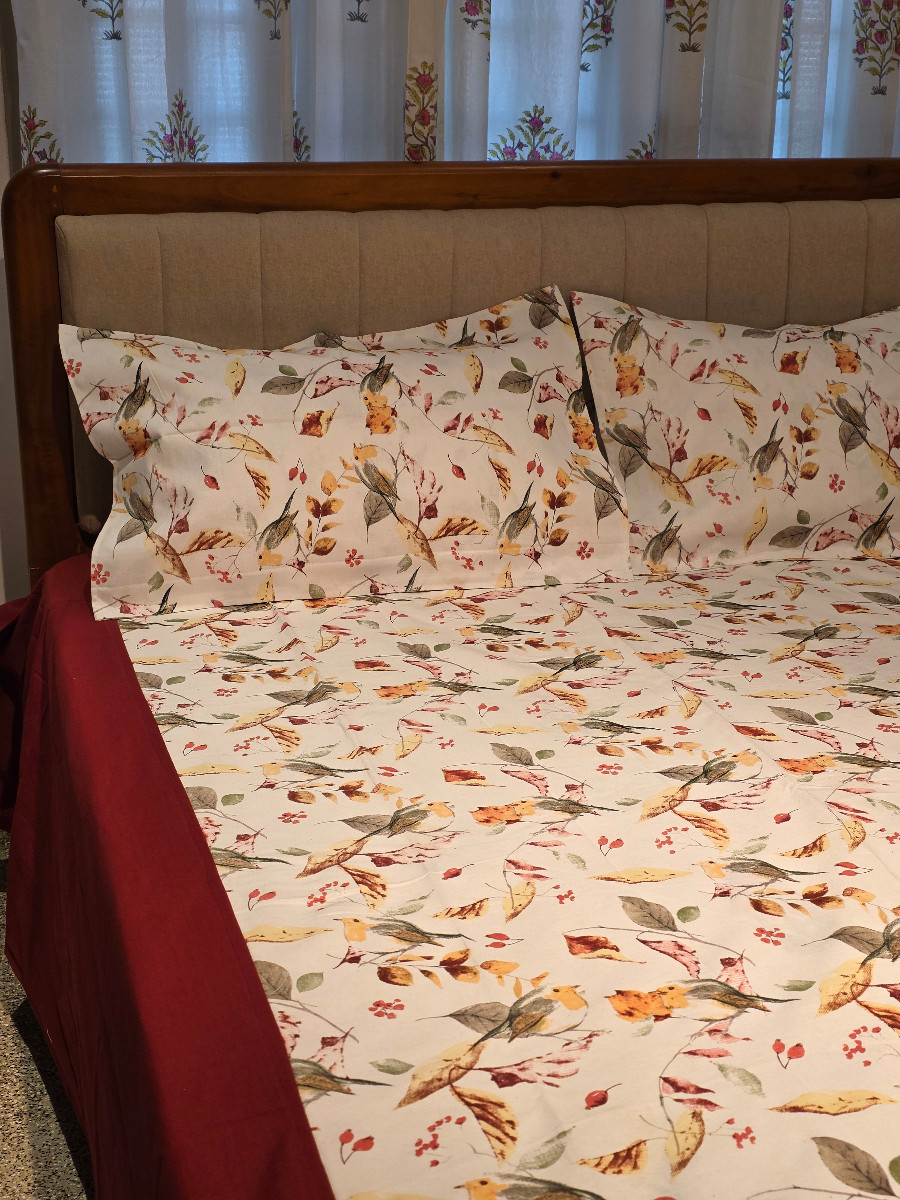 King Border Bedsheet Set