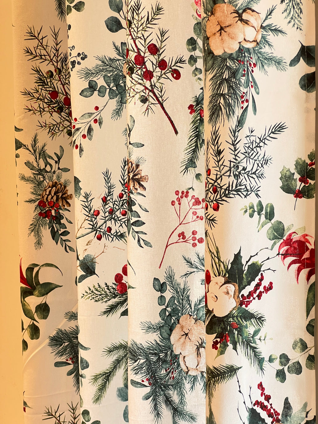 Xmas Curtains