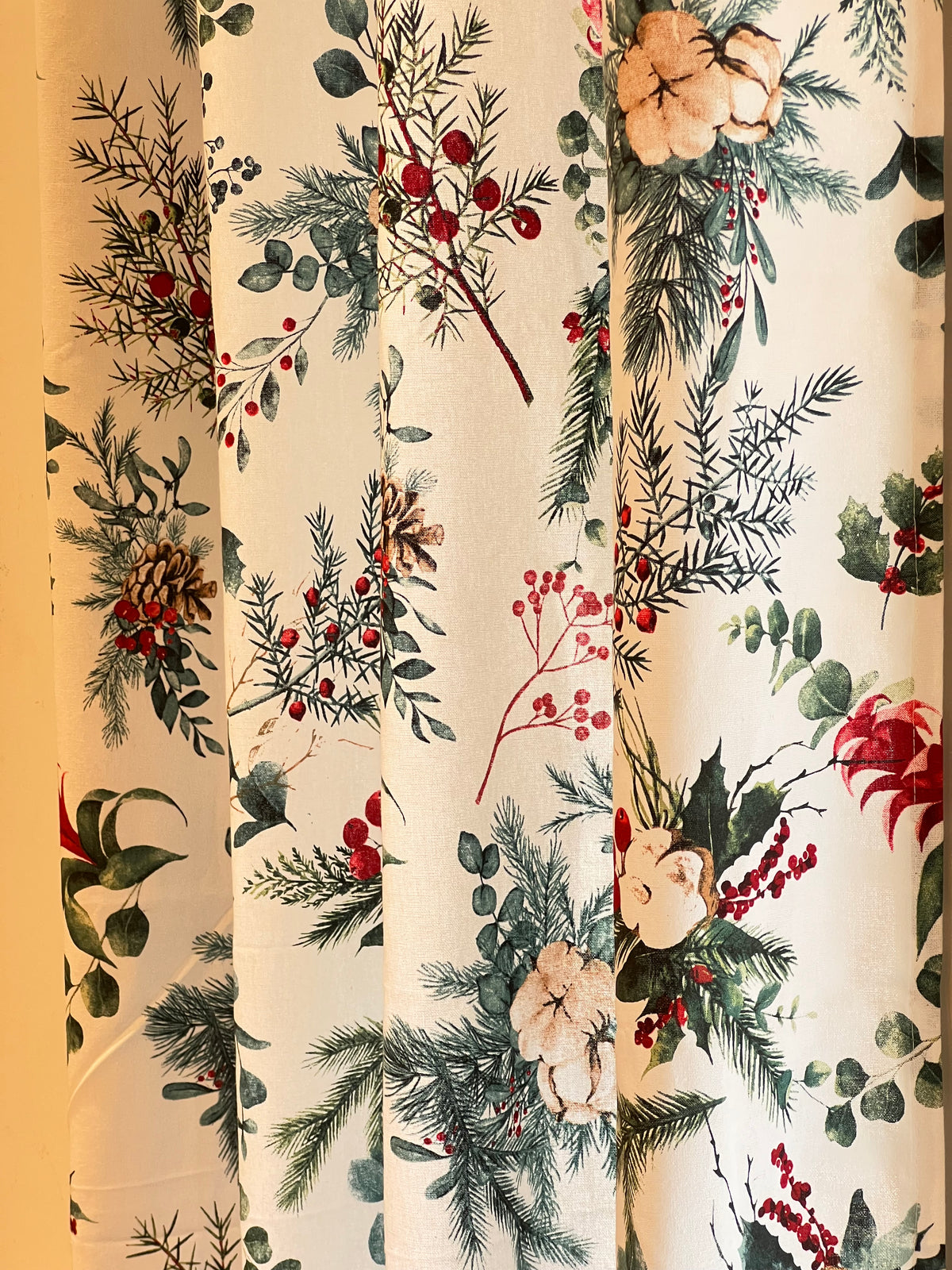 Xmas Curtains