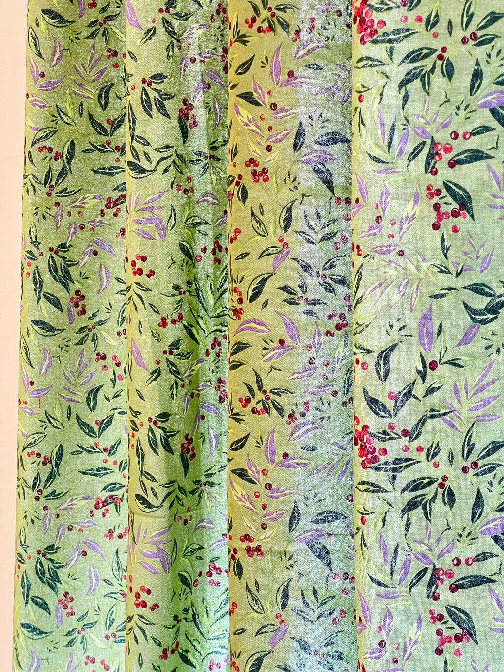 Xmas Curtains