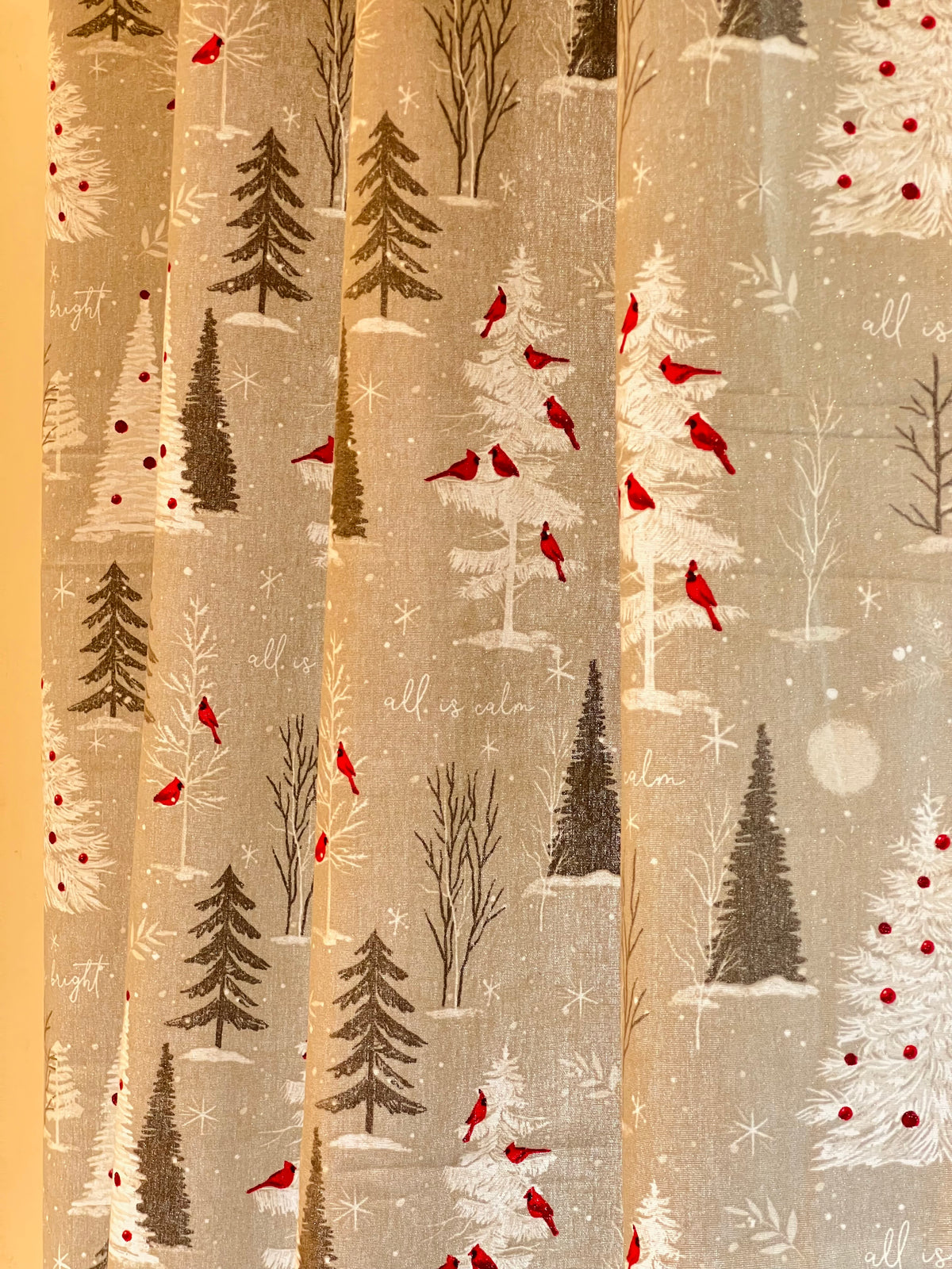 Xmas Curtains