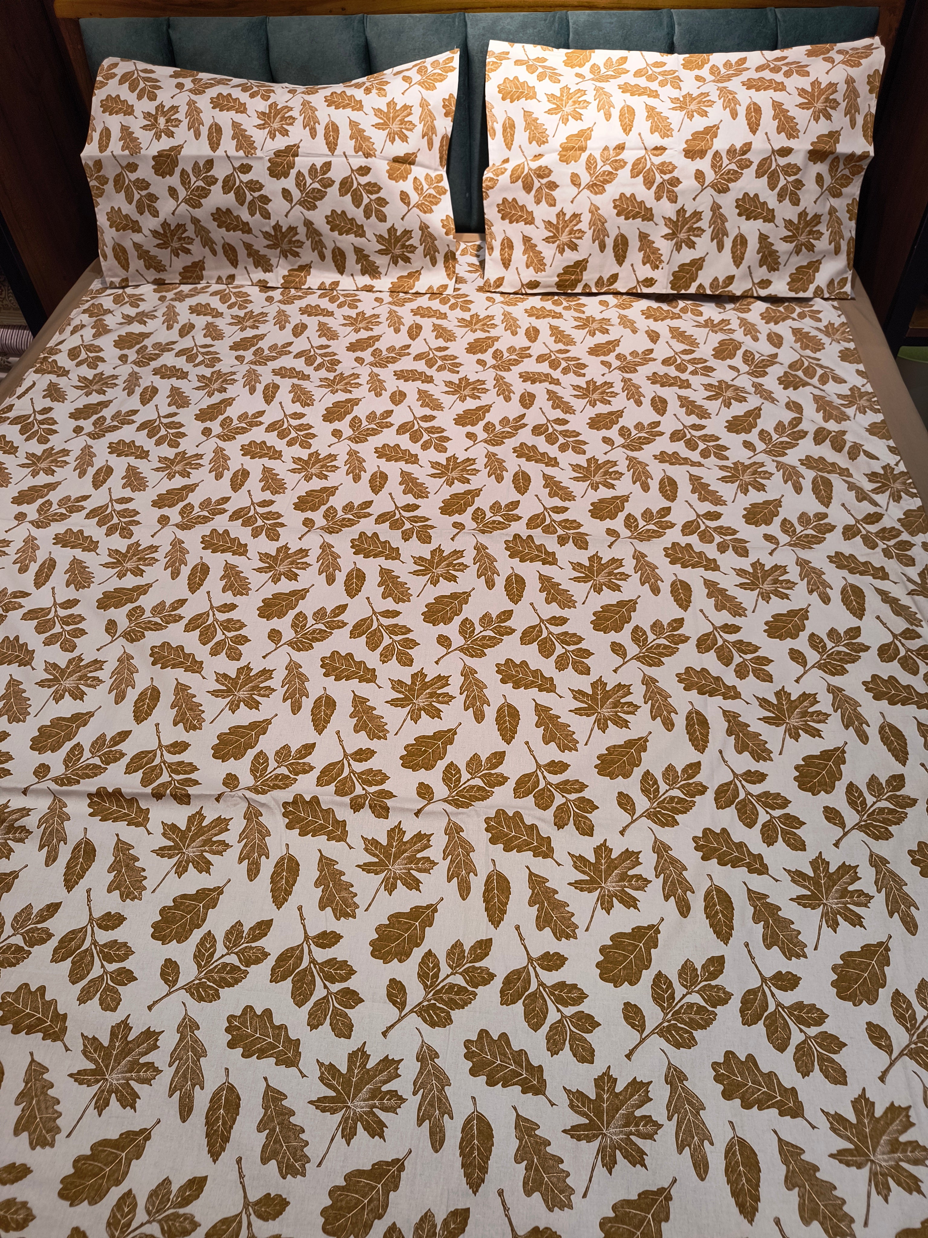 Queen Border Bedsheet Set