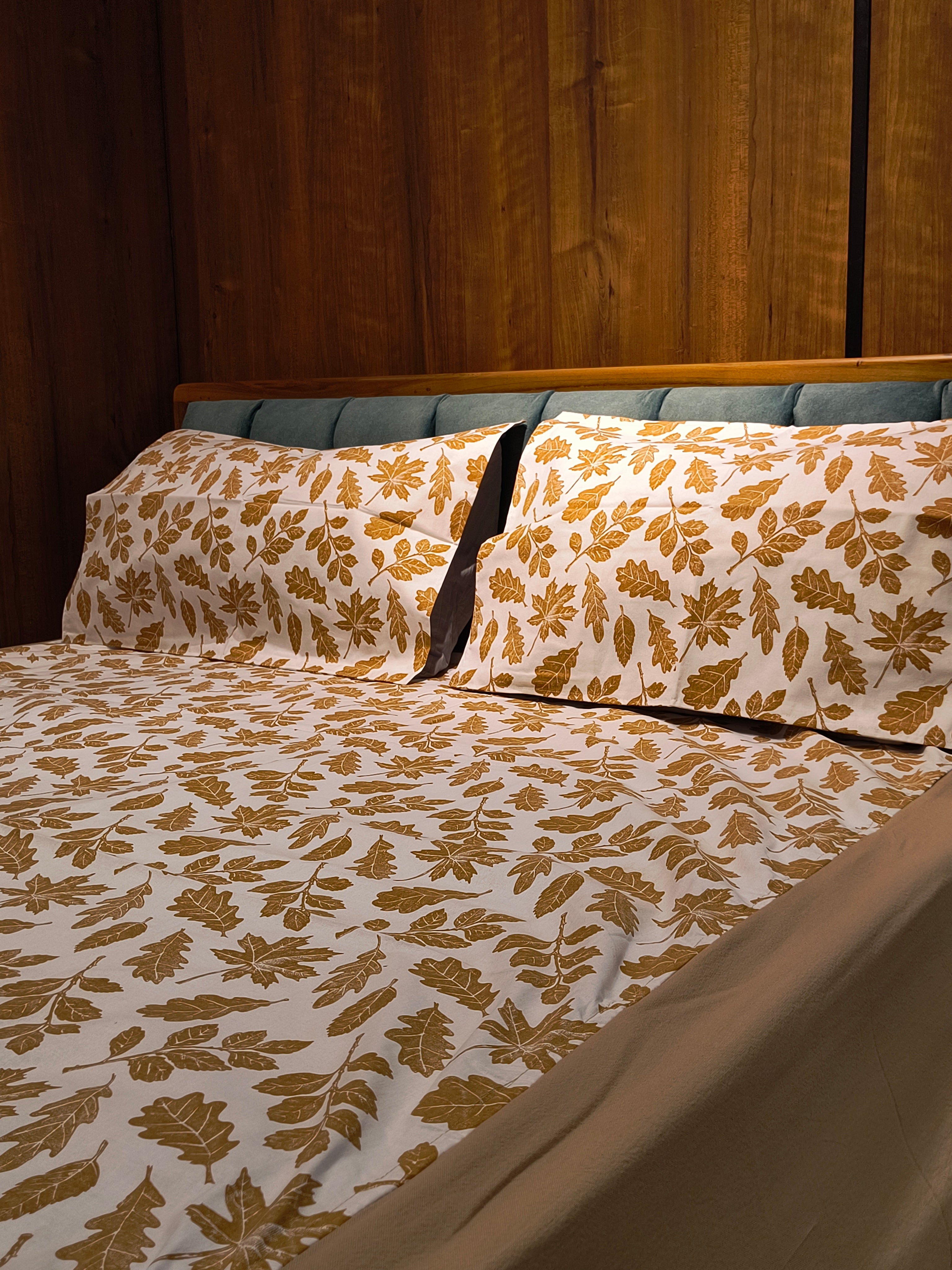 Queen Border Bedsheet Set