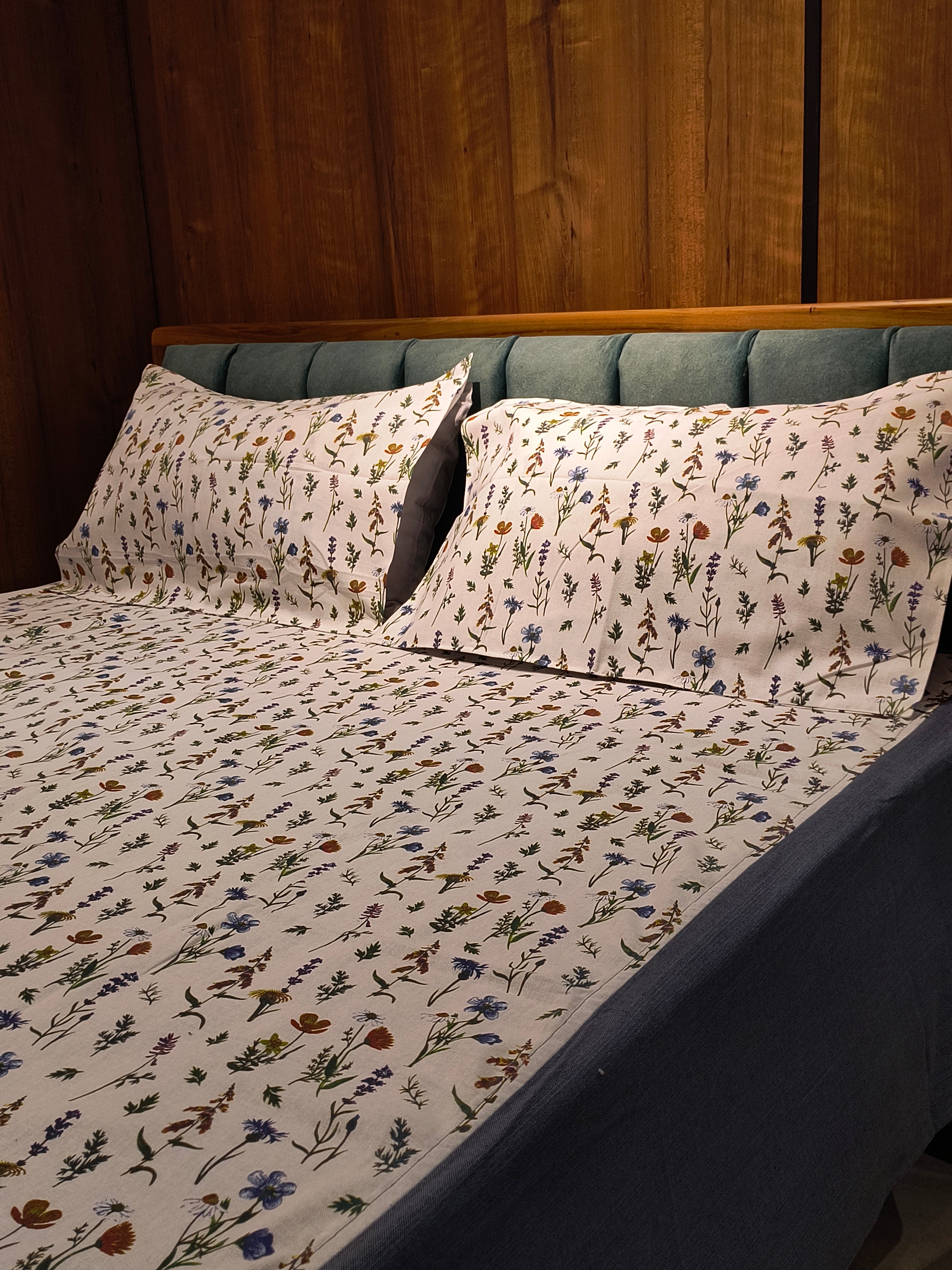 Queen Border Bedsheet Set