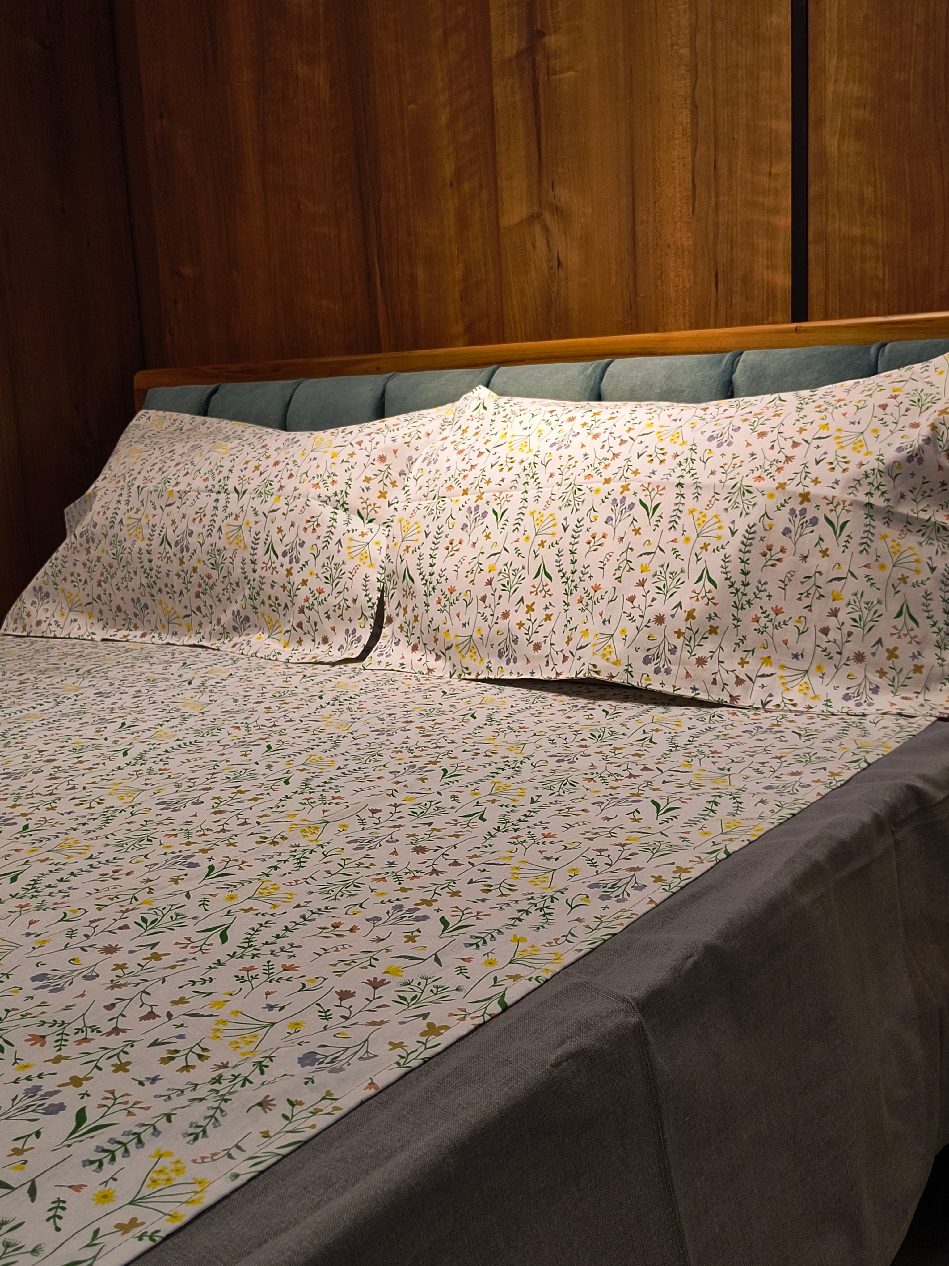 Queen Border Bedsheet Set