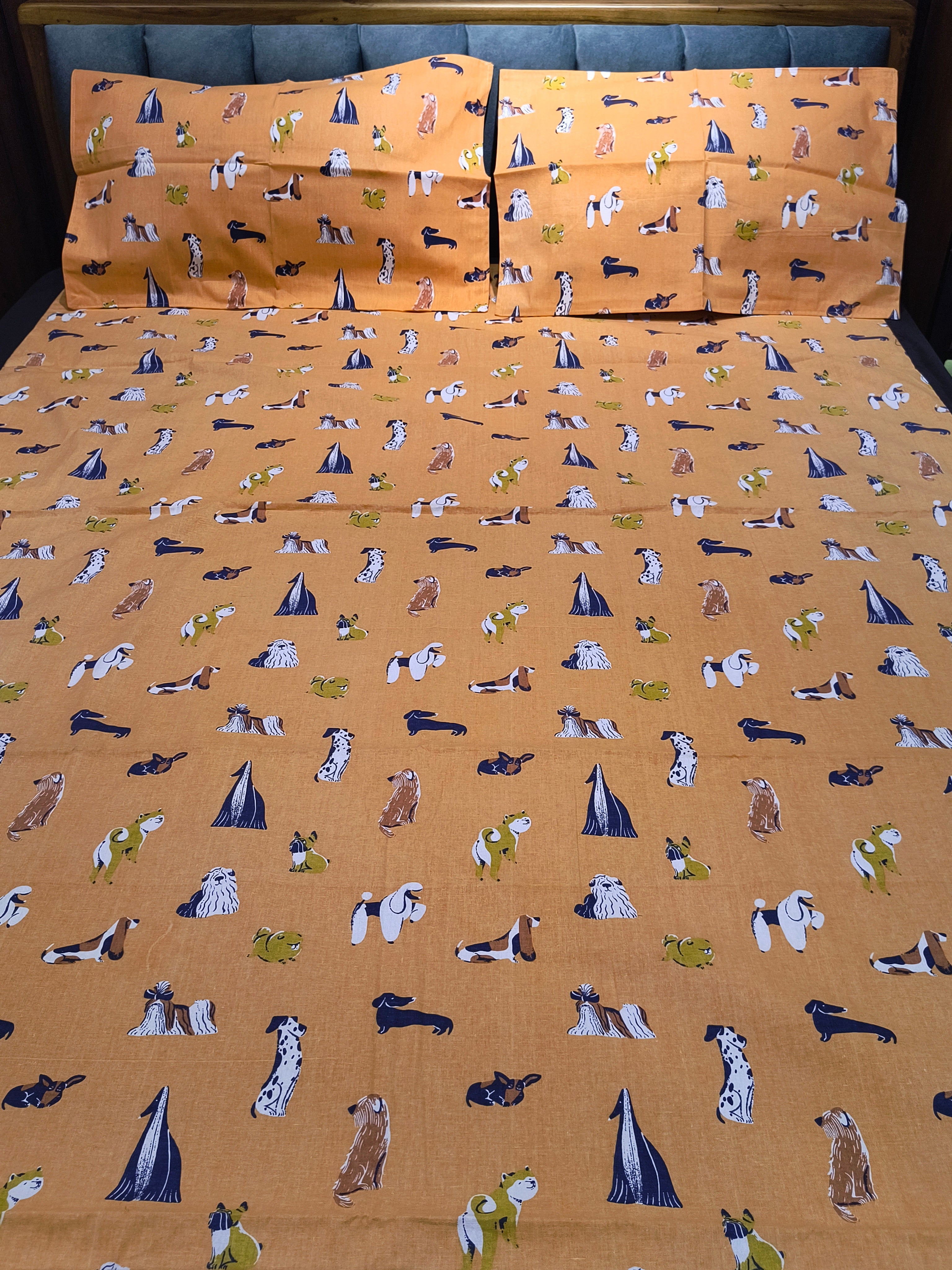 Queen Border Bedsheet Set