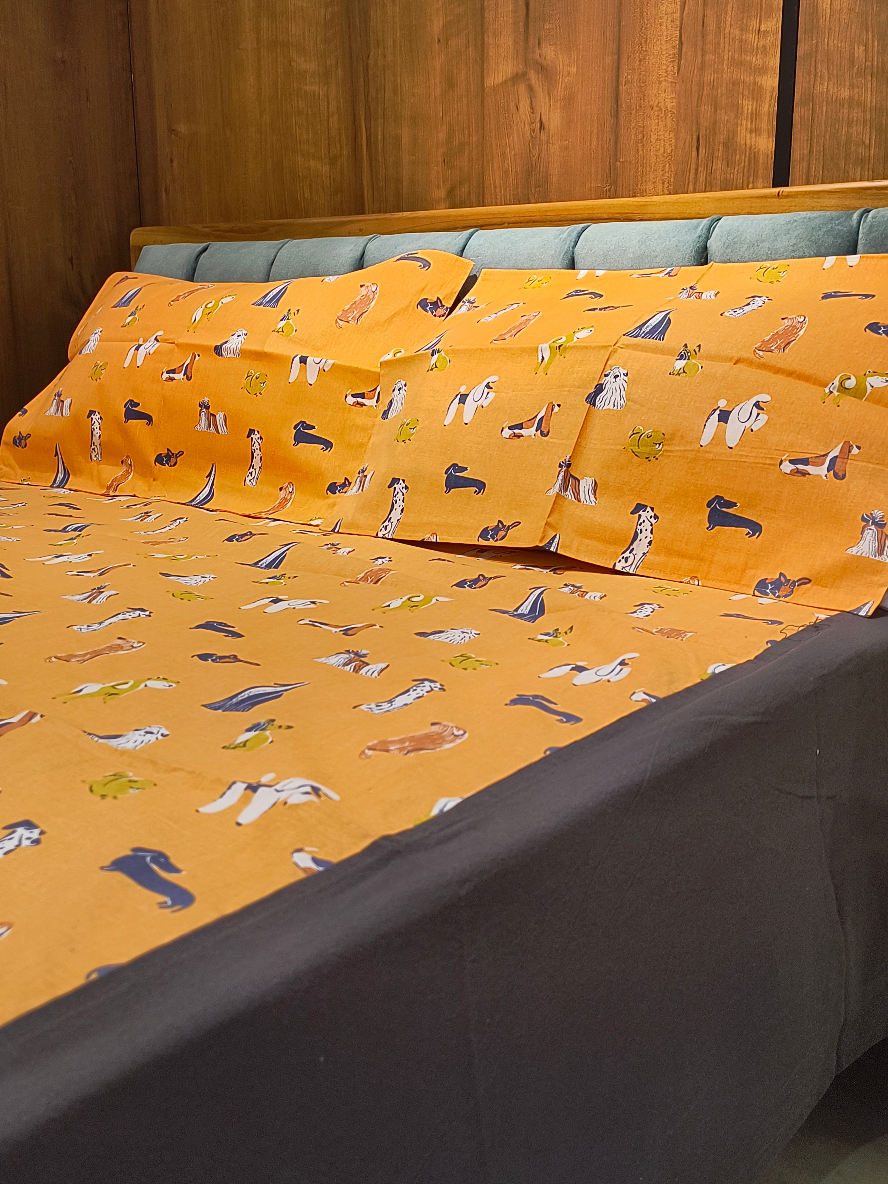 Queen Border Bedsheet Set