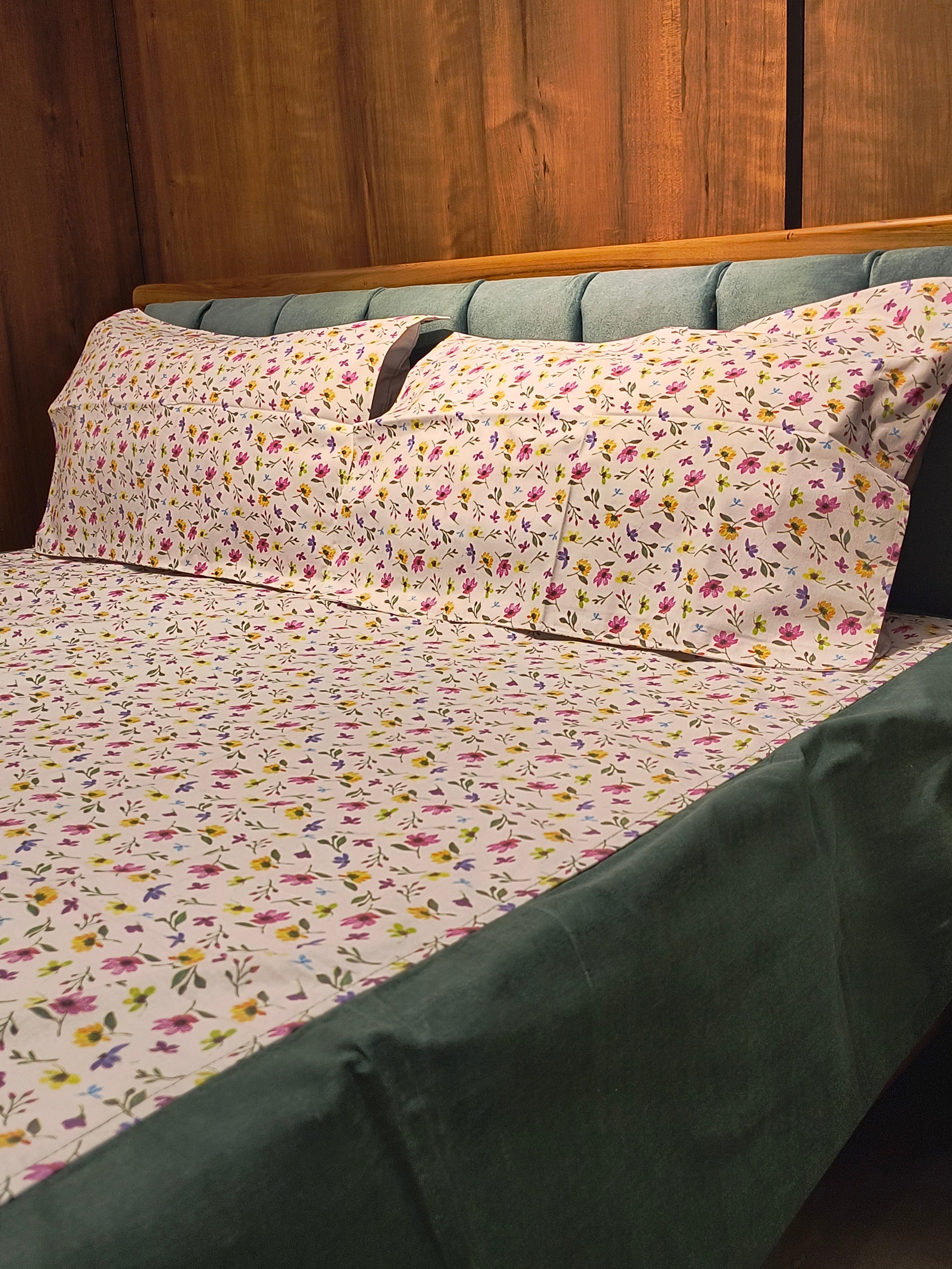 Queen Border Bedsheet Set