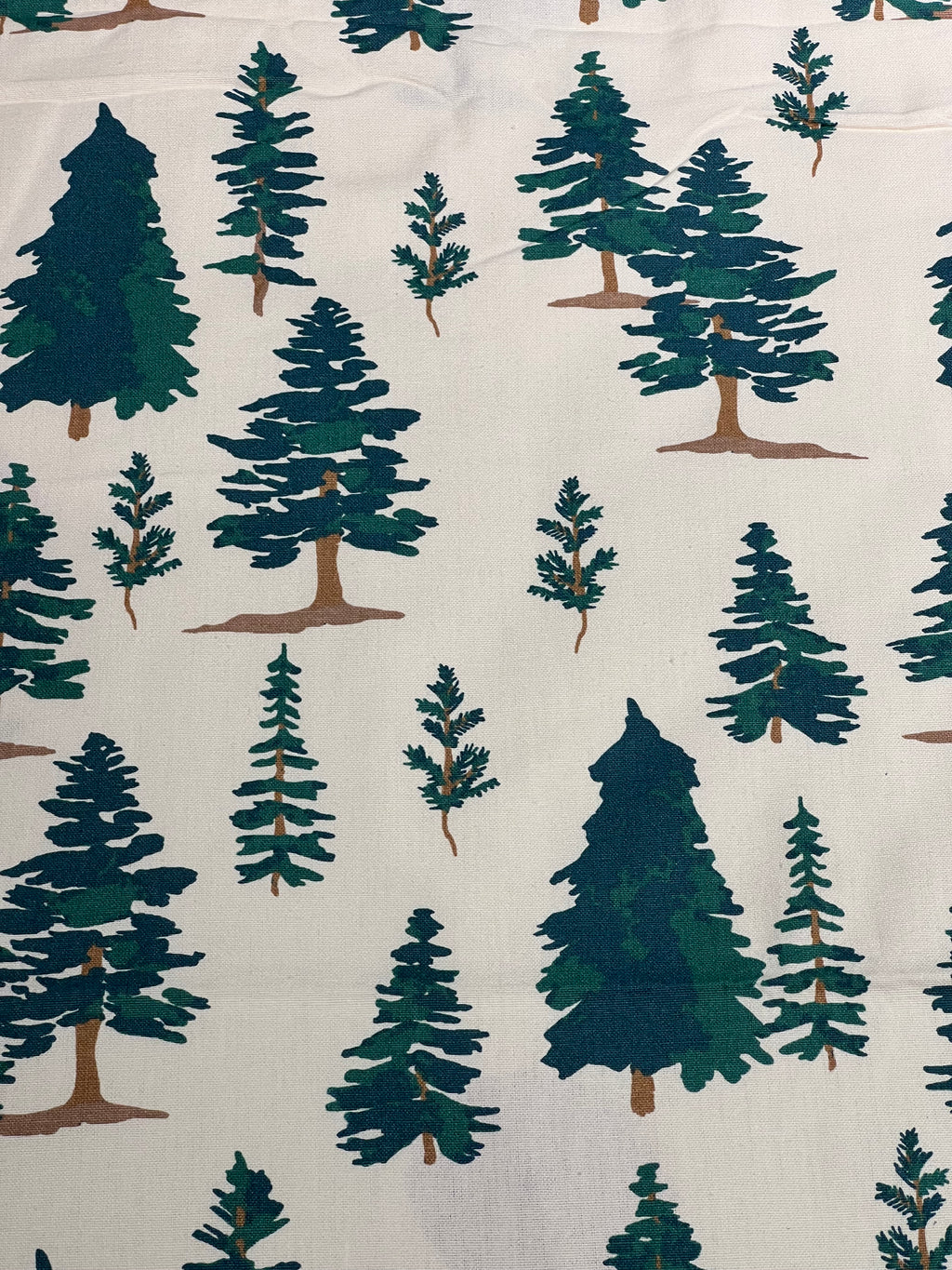 Single Size Bedsheet