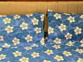 Queen Size Border Bedsheets