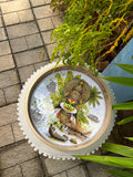 Kerala Theme MDF Tray